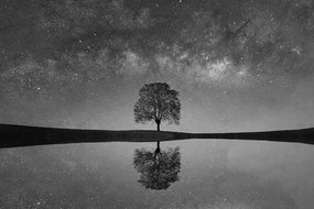 Fotomurale – Cielo stellato in bianco e nero sopra l'albero solitario