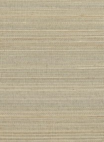 CMO Paris Carta da parati Abaca Dense - Argent