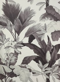 Manuel Canovas Carta da parati Salengro - Fusain