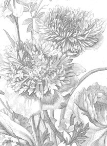 KEK Amsterdam Carta da parati panoramica Engraved Flowers 3 - Multicolor - 3.896m