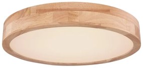 Globo 41745-24 - Plafoniera LED Dimming RAINER LED/24W/230V + TC