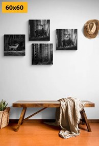 Set di quadri – Animali del bosco in bianco e nero