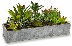 Pianta Decorativa Succulenta Plastica Cemento 10 x 14,5 x 30,5 cm (12 Unità)