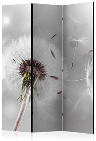 Paravento Catturare l'effimero - fiore romantico soffiato su sfondo grigio