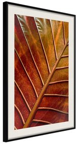 Poster  Bronze Leaf  Cornice Quadri Cornice nera con pass-partout, Larghezza x Altezza Home decor 40x60