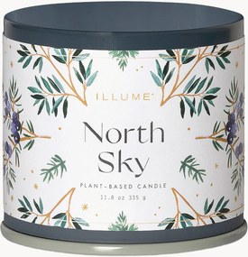 Candela profumata North Sky (agrumi, ribes, legno di ebano)