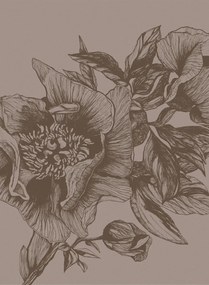 Coordonne Carta da parati panoramica Giant Peonies - Cacao