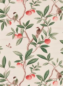 Harlequin Carta da parati Ella - Powder/ Sage/ Peach