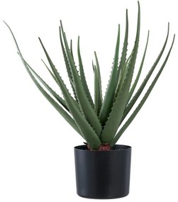Pianta artificiale (altezza 51 cm) Aloe Vera - House Nordic