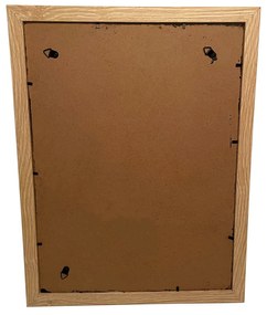 Quadro di muschio in cornice marrone chiaro 34 x 44 cm
