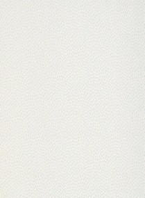 Paint & Paper Library Carta da parati Seedpod - Steel 3