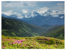Fotomurale Paesaggio di montagna in primavera