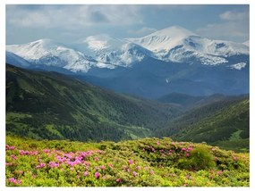 Fotomurale  Paesaggio di montagna in primavera  Colore Verde, Dimensioni e Misure 300x231