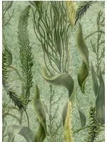 Mindthegap Carta da parati Aquatic Plants - WP20717