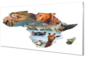 Pannello paraschizzi cucina Tigre giraffa zebra 100x50 cm