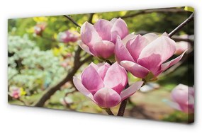 Quadro su tela Alberi magnolia 100x50 cm