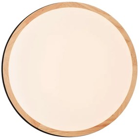 Brilliant - Plafoniera LED dimmerabile BAARLO LED/24W/230V diametro 35 cm nero