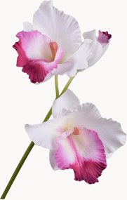 Set di 2 fiori artificiali Cattleya