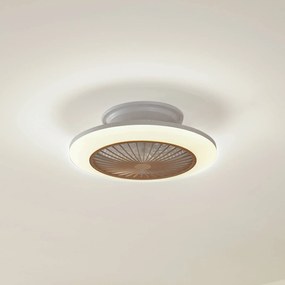 Ventilatore da soffitto Lindby LED Mamuti, color legno, silenzioso, 55 cm