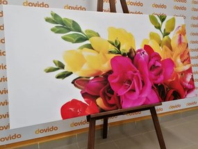Quadro su tela – Bouquet di fresie