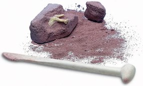 Scavo archeologico - Dinosauro luminoso