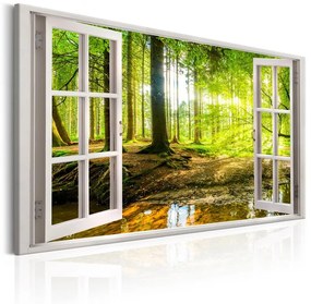 Quadro Window  View on Forest  Colore Marrone, Dimensioni e Misure 120x80