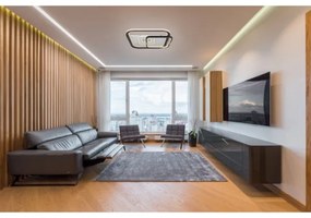 Globo 48459-48 - Plafoniera a LED dimmerabile ANI LED/48W/230V 2700-6000K + telecomando