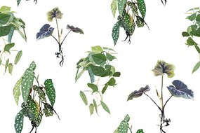 Carta da parati – Foglie verdi graziose