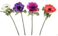 Set 12 Fiori Artificiali di Anemone H 37 cm