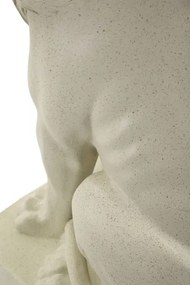 Leone Stons Cm 17,5X25X40