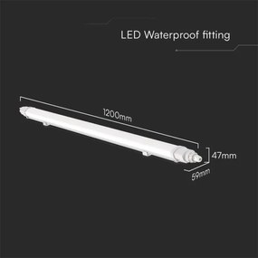 Lampada fluorescente tecnica LED LED/36W/230V 4000K IP65 120 cm