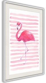 Poster  Pink Madness  Cornice Quadri Cornice nera, Larghezza x Altezza Home decor 20x30