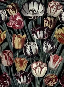 Mindthegap Carta da parati Tulipa - WP20177