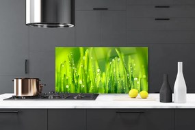 Schienali cucina Erba Verde Gocce Di Rugiada 100x50 cm