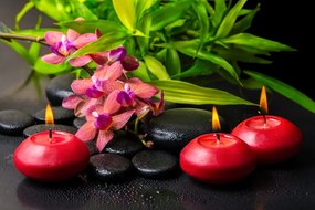 Carta da parati – Natura morta Zen rilassante