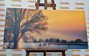 Quadro su tela – Cavalli nel paesaggio innevato