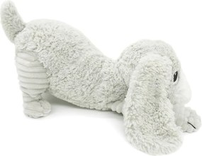 Set di peluche 2 pz Ptipotos Toutou – Les Deglingos