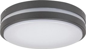 Rabalux 8847 - Applique a LED da esterno HAMBURG LED/10W/230V IP44