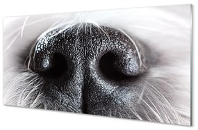Quadro in vetro Naso del cane 100x50 cm