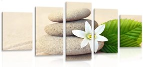 Quadri 5 pezzi – Fiore bianco e pietre nella sabbia