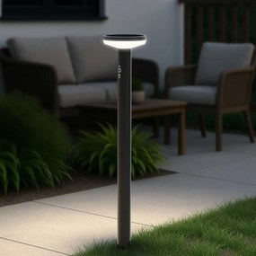 Paletto da giardino Solare Nero 80cm con Sensore Movimento e Picchetto Colore Bianco Naturale 4.000K