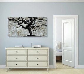 Stampa su tela – Albero astratto su legno