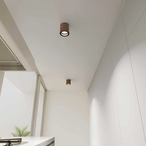 Applique da soffitto IP54 GU10 in Alluminio e Vetro - Corten