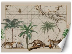 Carta Da Parati, Palma Animali Mappa