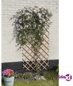 Nature Traliccio da Giardino 50x150 cm in Legno Naturale