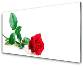 Quadro acrilico Natura della pianta del fiore della rosa 100x50 cm