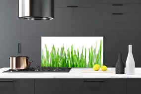 Schienali cucina Erba, piante, natura 100x50 cm