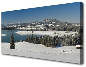 Quadro su tela Terra di montagna del lago di neve 100x50 cm