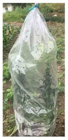 Set di 5 teli per protezione piante - Garden Pleasure