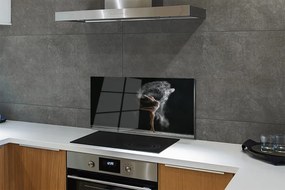 Pannello rivestimento cucina Fumo di donna 100x50 cm